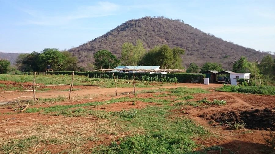 The Quiet Farm - 2011 - Image 1