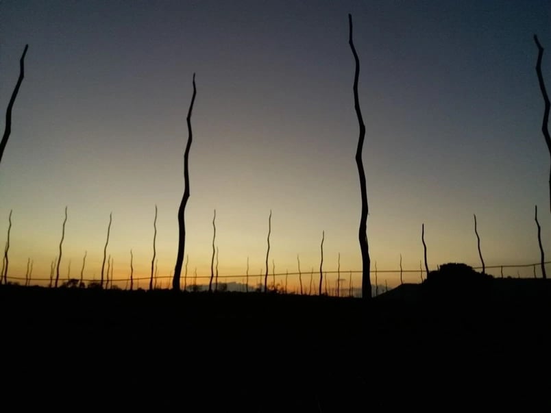 Life's Constant Change - 2015