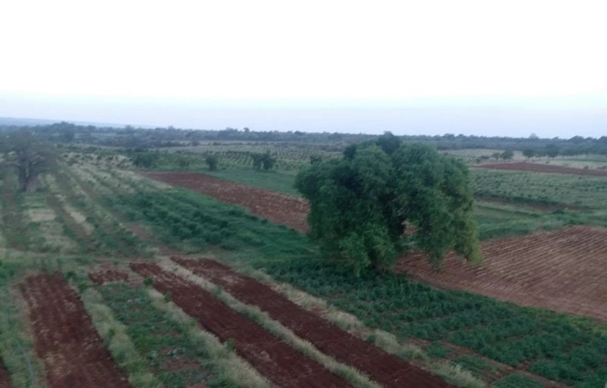 Renewable Energy Focus - 2016